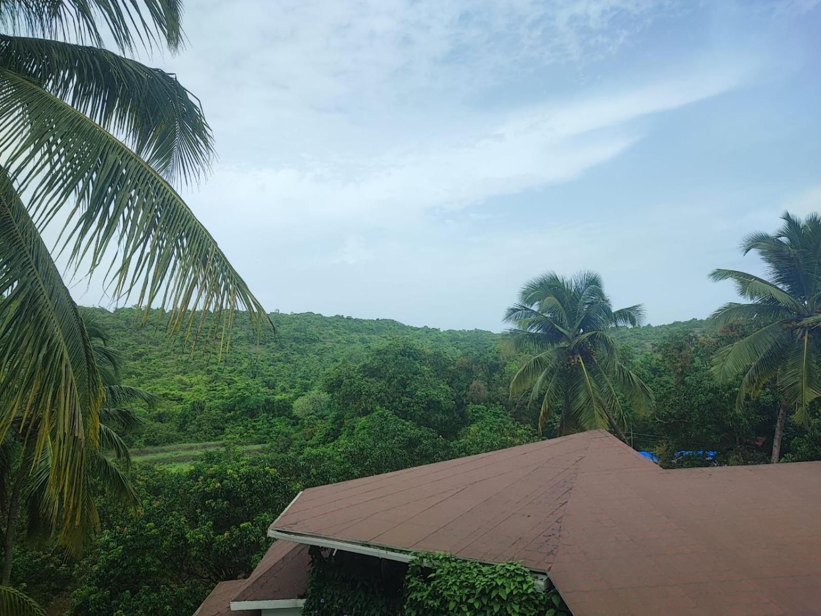 The Verda De Miranda Resort Morjim North Goa Eksteriør bilde