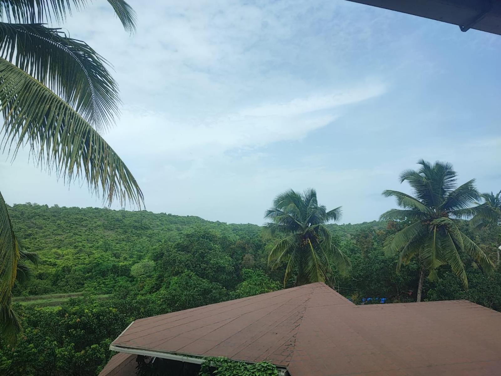 The Verda De Miranda Resort Morjim North Goa Eksteriør bilde